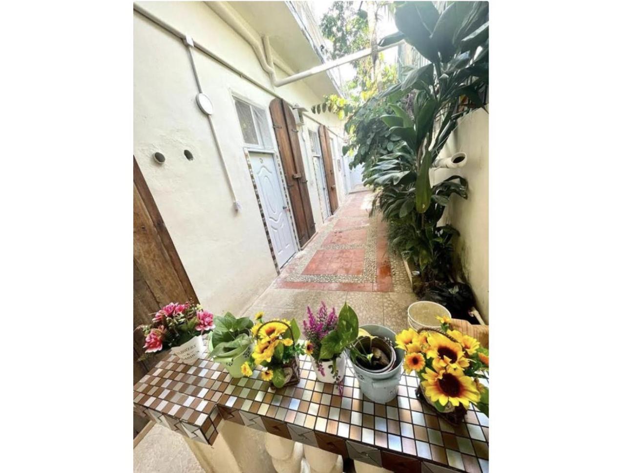 Hostel El Espanol Санто-Доминго Экстерьер фото